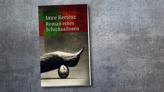 Buchcover: Imre Kertész - Roman eines Schicksallosen © Rowohlt Verlag 