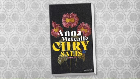 Buch-Cover: Anna Metcalfe - Chrysalis © Rowohlt Verlag 