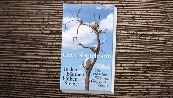 Buch-Cover: Cees Nooteboom - In den Bäumen blühen Steine. Die erdachte Welt von Giuseppe Penone © Suhrkamp Verlag 