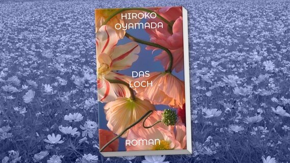 Cover Hiroko Oyamada, „Das Loch“ © Rowohlt 