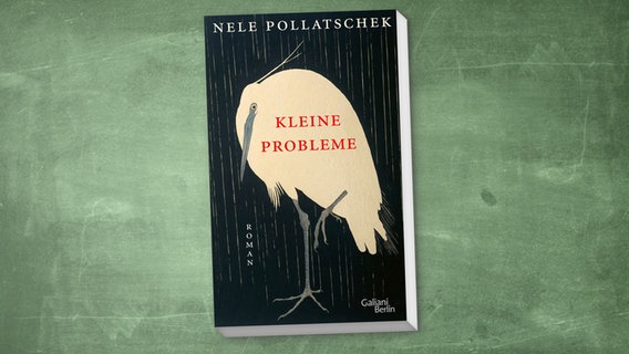 Buch-Cover: Nele Pollatschek - Kleine Probleme © Kiepenheuer & Witsch Verlag 