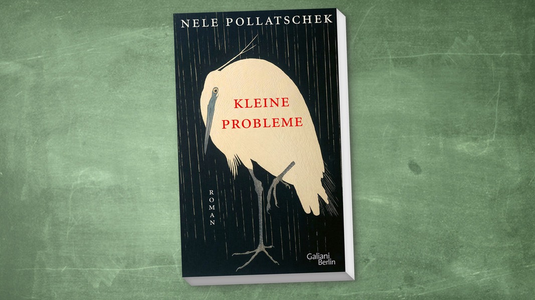 Nele Pollatschek: Kleine Probleme (die aber grosse Probleme sind) ~  Literaturclub: Zwei mit Buch Podcast