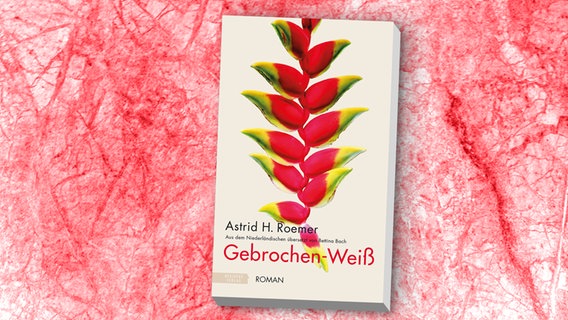 Cover: Astrid H. Roemer - Gebrochen-Weiß © Residenz Verlag 