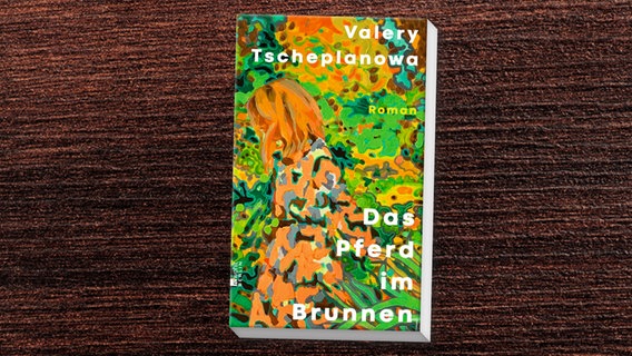 Buch-Cover: Valery Tscheplanowa - Das Pferd im Brunnen © Rowohlt Verlag 