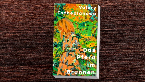Buch-Cover: Valery Tscheplanowa - Das Pferd im Brunnen © Rowohlt Verlag 