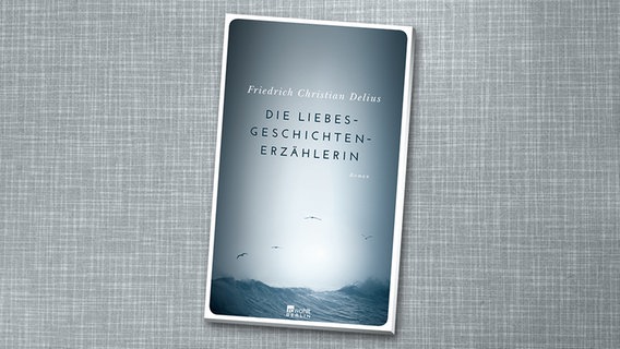 Friedrich Christian Delius: "Die Liebesgeschichtenerzählerin" (Cover) © Rowohlt 