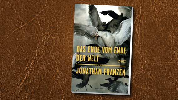 Jonathan Franzen: "Das Ende vom Ende der Welt" (Buchcover) © Rowohlt 