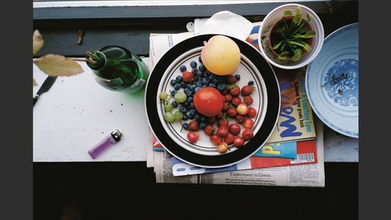 summer still life, 1995 © 2020 Wolfgang Tillmans, Berlin/London / Taschen Verlag 