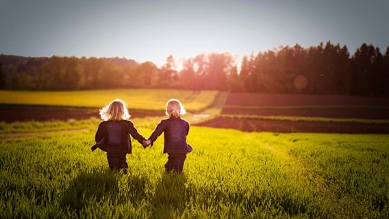 Zwei Kinder gehen Hand in Hand über ein Feld in Richtung untergehender Sonne. © Photocase Foto: riskiers