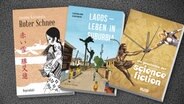 Cover-Collage der Graphic Novels im November © avant Verlag/Reprodukt/Splitter Verlag 