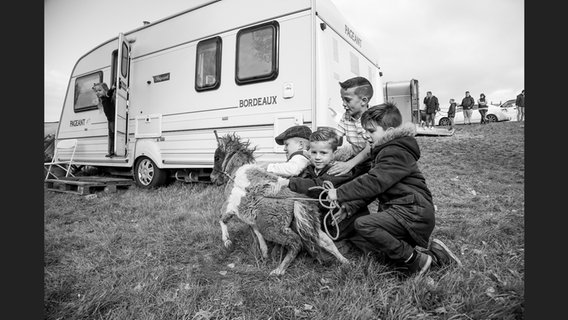 Jamie Johnson: vier Jungen mit kleinem Pony © Kehrer Verlag Foto: Jamie Johnson
