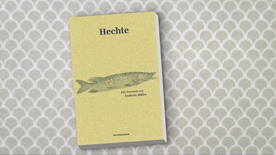 Cover des Buchs "Hechte" von Andreas Möller © Matthes & Seitz Berlin 