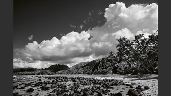 Bild aus dem Buch: "Hawaii" von Olaf Heine © teNeues Verlag 