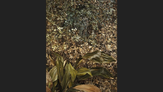 Lucian Freud: Two Plants (Zwei Pflanzen), 1977-80 © The Lucian Freud Archive / Bridgeman Images / Prestel Verlag 