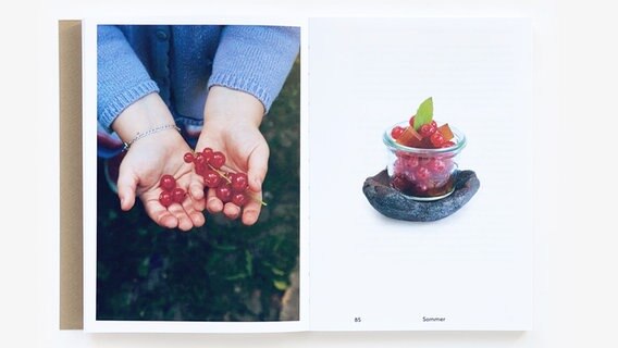 Beeren - Doppelseite aus dem Buch "Man kann keine Steine essen" © Shinroku Shimokawa / Prima.Publikationen Verlag 
