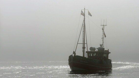 Fischkutter bei Nebel auf See © Daniel Hohlfeld/CHROMORANGE Foto: Daniel Hohlfeld