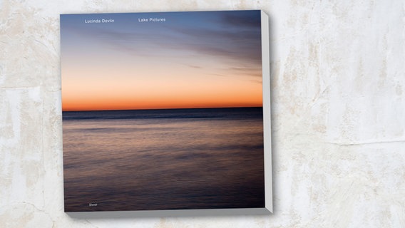 Lucinda Devlin: "Lake Pictures" (Cover) © Steidl Verlag Foto: Lucinda Devlin