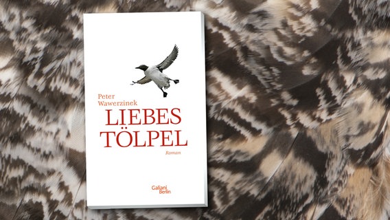 Das Cover von Peter Wawerzineks Roman "Liebestölpel" © Verlag Galiani Berlin 