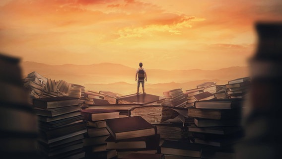 Junge steht auf Büchern vor einem Sonnenuntergang (Collage) © IMAGO / imagebroker 