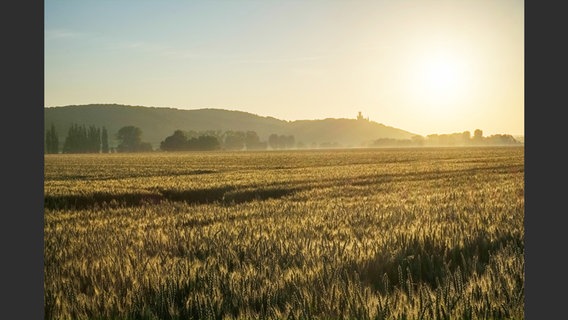 Ein Feld an der Bundesstraße 3, dahinter Bäume und Hügel © Corso Verlag Foto: Wolfgang Groeger-Meier