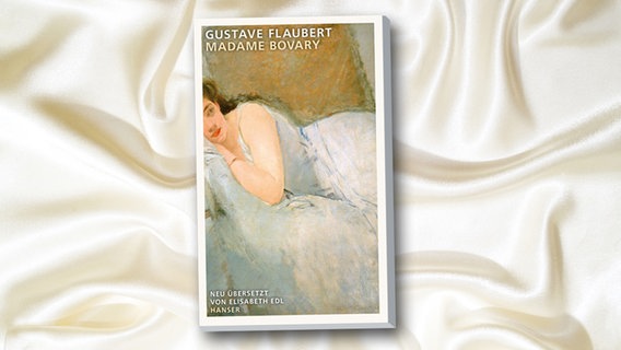 Cover: Gustave Flaubert, "Madame Bovary", hanser © hanser 