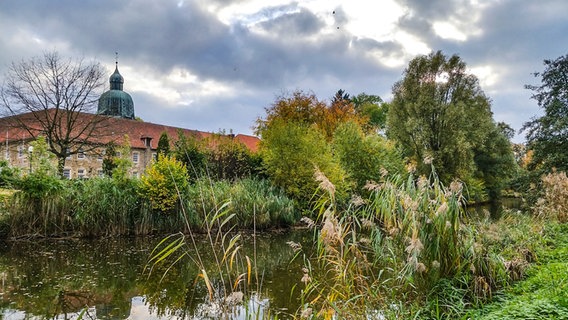 Ein altes Gebäude hinter Bäumen und Büschen Ein altes Gebäude hinter Bäumen und Büschen © Merle Giebeler / NDR Foto: Merle Giebeler