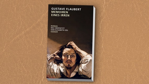 Gustave Flaubert: "Memoiren eines Irren" © Hanser 