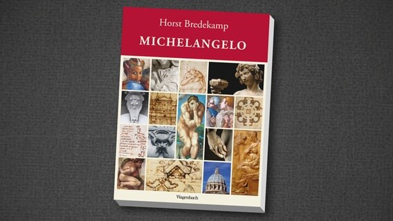 Horst Bredekamp: "Michelangelo" (Cover) © Wagenbach 