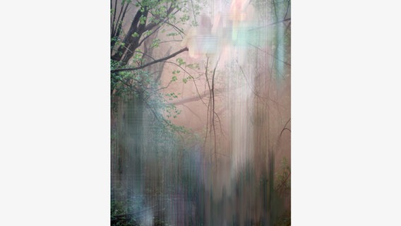 Untitled (Forest 6) 2016-17 © VG Bild-Kunst, Bonn - Sandra Kantanen / Hatje Cantz Verlag 