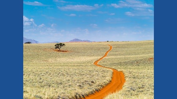 Ein schmaler Pfad schlängelt sich durch eine karge, unbewohnte Landschaft. © Michael Poliza / teNeues 