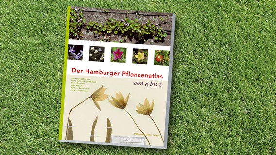 Cover: Hamburger Pflanzenatlas © Dölling und Galitz Verlag 
