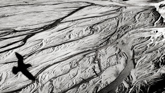 Schatten eines Vogel fleigt über einen Gletscher © Ragnar Axelsson/Kehrer Verlag Foto: Ragnar Axelsson