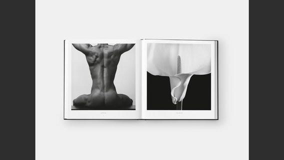 Robert Mapplethorpe: Clifton, 1981 (left), Calla Lily, 1988 (right), pages 6-7 - eine Doppelseite aus dem Phaidon-Fotografieband "Robert Mapplethorpe" von 2020 © Robert Mapplethorpe Foundation Inc. (pages 6-7) 