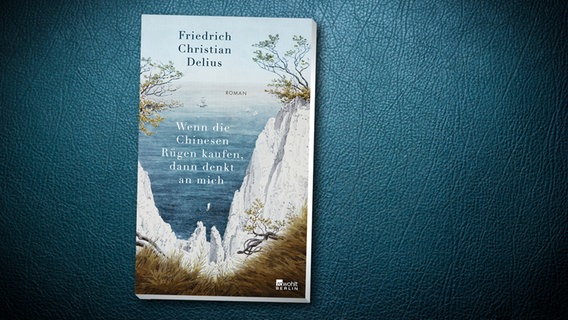 Cover des Buches "Wenn die Chinesen Rügen kaufen, dann denkt an mich" von Friedrich Christian Delius. © Rowohlt 
