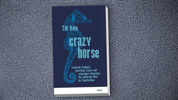 Cover von Till Heins Buch "Crazy Horse. Launische Faulpelze, gefräßige Tänzer und schwangere Männchen: Die schillernde Welt der Seepferdchen". © Mare Verlag 
