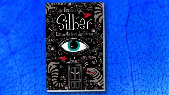 Kerstin Gier, Silber - Das erste Buch der Träume (Cover) © S. Fischer Verlag 