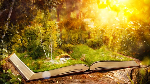 Un libro aperto poggia su un tronco d'albero.  © Fotolia Foto: Designer
