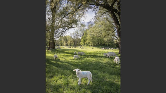 Foto aus dem Bildband: "Arcadian Sketchbook" © Kerber Verlag Foto: Wolfgang Strassl