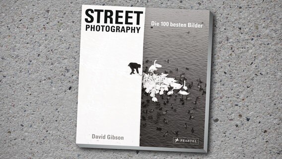 David Gibson: "Street Photography: Die 100 besten Bilder" © Prestel Verlag Foto: Marcin Ryczek
