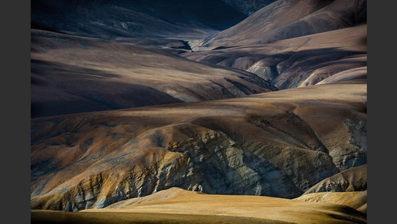 Bild aus dem Buch "Tibetan Mustang - A Cultural Renaissance" © Luigi Fieni Foto: Luigi Fieni