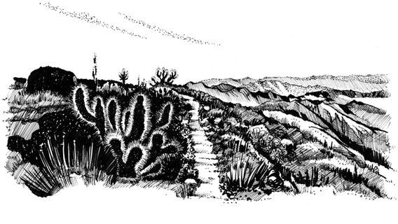 Tim Voors: Berglandschaft mit Kakteen (Zeichnung) © Tim Voors / gestalten Verlag 