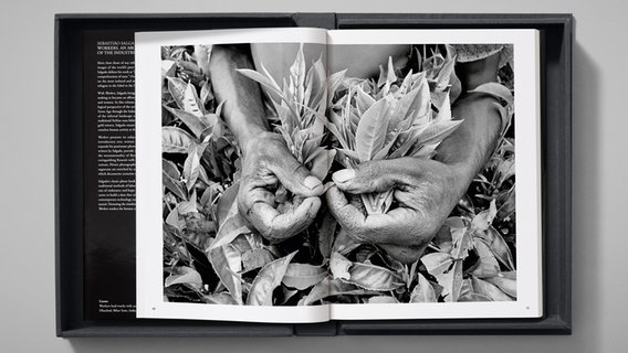 Bild aus dem Buch "Arbeiter" von Sebastião Salgado © Mark Seelen Foto: Sebastião Salgado