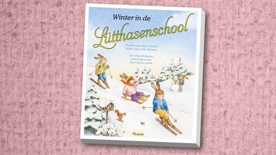 Winter in de Lütthasenschool von Albert Sixtus (Cover) © dtv 