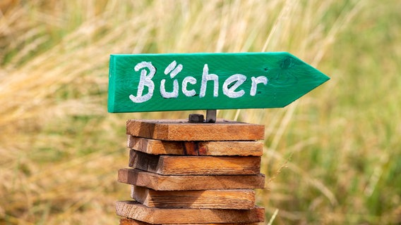 Wegweiser mit der Aufschrift Bücher auf einem Holzstapel. © IMAGO Foto: Daniel Schäfer