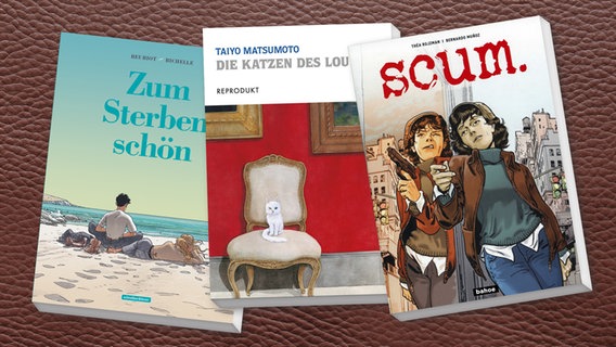 Cover collage Talyo Matsumoto, "Die Katzen des Louvre" / Bernardo Munoz und Thea Rojzman, "Scum" / Jean Michel Beuriot und ......Philipp Richelle, "Zu Sterben schön" © reprodukt/ bahoe books/schreiber&leser 