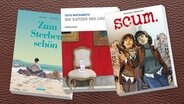 Cover collage Talyo Matsumoto, "Die Katzen des Louvre" / Bernardo Munoz und Thea Rojzman, "Scum" / Jean Michel Beuriot und ......Philipp Richelle, "Zu Sterben schön" © reprodukt/ bahoe books/schreiber&leser 