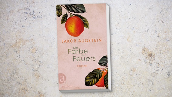 Buchcover: Jakob Augstein - Die Farbe des Feuers © Aufbau Verlag 
