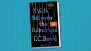 Buchcover: T.C. Boyle - I walk between the raindrops. Storys. © Hanser 