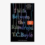 Buchcover: T.C. Boyle - I walk between the raindrops. Storys. © Hanser 