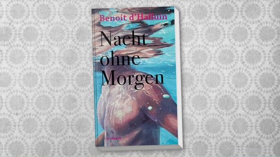 Buchcover: Benoit d'Halluin - Nacht ohne Morgen © Karl Rauch Verlag 